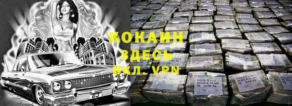 прущие грибы Арсеньев